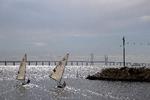 Havmiljøet i Øresund har blandt andet betydning for københavnernes- og svenskerens rekreative brug af vandet. Foto: Peter Hove Olesen/POLFOTO