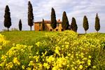 Toscana er en evig favorit hos danske rejsende. Men denne sommer frarådes alle ikkenødvendige rejser til Italien. Foto: Fabio Muzzi/Cultura Images