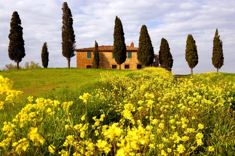 Toscana er en evig favorit hos danske rejsende. Men denne sommer frarådes alle ikkenødvendige rejser til Italien. Foto: Fabio Muzzi/Cultura Images