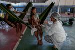 Kvægavlere og guldgravere har bragt coronavirussen ind i Amazonas' regnskov, hvor de oprindelige folk frygter for deres eksistens. Foto: Michael Dantas/Ritzau Scanpix