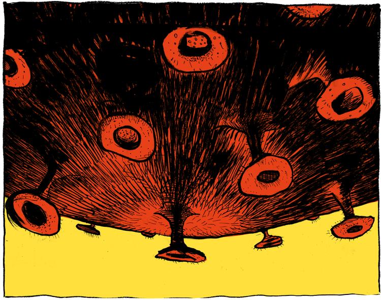 Foto: Claus Nørregaard/POLITIKEN