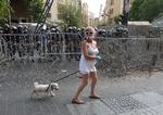   En demonstrant spadserer med sin hund i Beirut.  Foto: Aziz Taher/Ritzau Scanpix