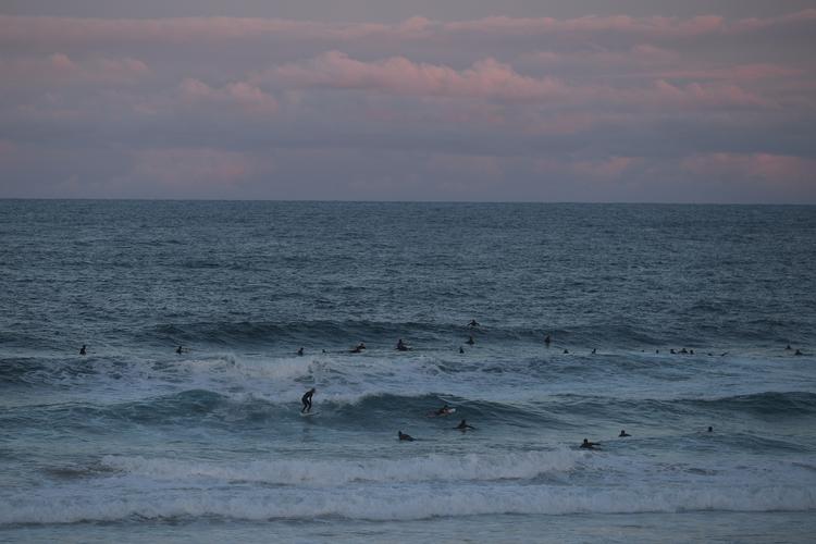 Surfere venter på bølgerne her ved Bondi Beach. Et andet sted i landet døde en surfer lørdag som følge af et hajangreb. Arkivfoto Foto: Loren Elliott/Ritzau Scanpix