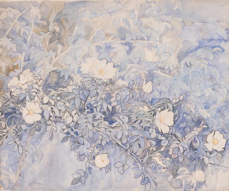 Anna Syberg begyndte med at male interiører, hvor blomster oftest var vækster i en vase i en vindueskarm. Men med tiden voksede blomsternes betydning, og de endte med at fylde hele billedfladen, som disse vilde roser. Foto: Faaborg Museum