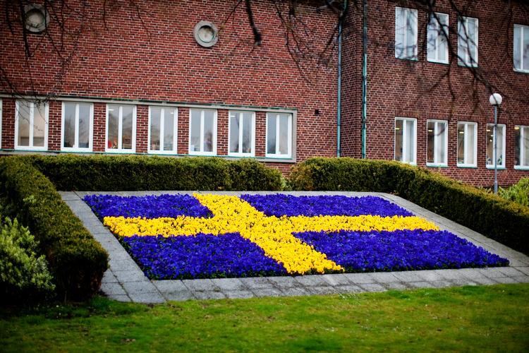 Den svenske ø, Gotland, er en populær sommerferiedestination blandt nordmænd. Fra 15 juni må de norske turiste tage på ferie på Gotland, men ikke andre steder i Sverige, selvom der er flere smittede med covid-19 på øen, end der er i for eksempel Skåne, hvis man sammenligner med indbyggertallet.  Billedet er fra 2012. Foto: Miriam Dalsgaard/POLFOTO