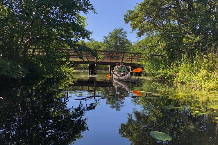 Foto: Sune Højrup Bencke