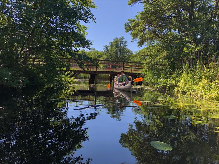 Foto: Sune Højrup Bencke