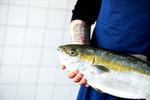fiskeslagteren_11