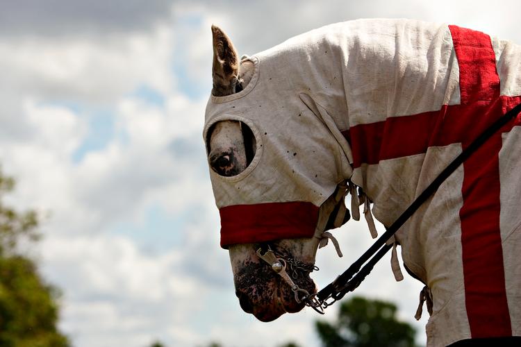 Foto: Jacob Ehrbahn/POLFOTO