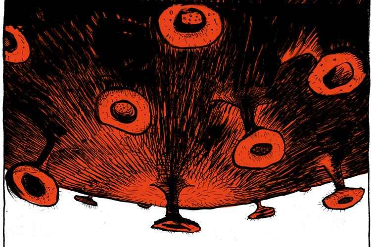 Tegning Claus Nørregaard