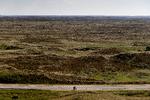 Hanstholm Vildtreservat er et stort, åbent landskab af hævet havbund og gamle klitter. Foto: Peter Hove Olesen/POLFOTO