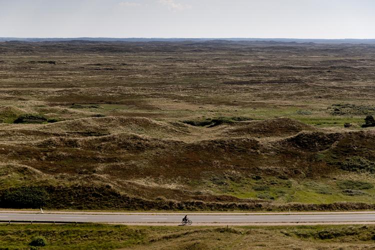 Hanstholm Vildtreservat er et stort, åbent landskab af hævet havbund og gamle klitter. Foto: Peter Hove Olesen/POLFOTO