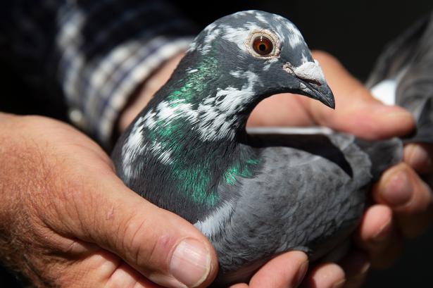 Foto: Martin Lehmann/POLFOTO