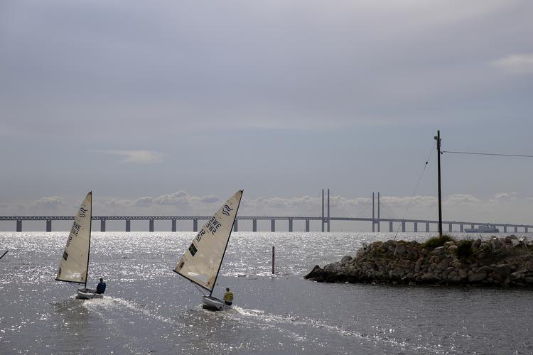 Efter sag om udledning af urenset spildevand vil flertal udenom regeringen omdanne Øresund til nationalpark. Foto: Peter Hove Olesen/POLFOTO