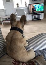 Foto: Bent Paulsen 