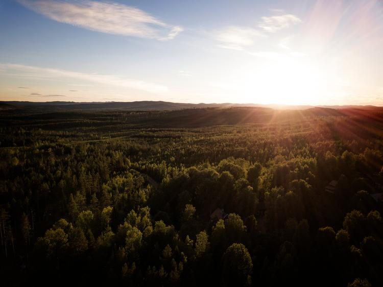  Der er radioaktive stoffer over luften over Sverige, viser målinger..   Foto: Johannes Skov Andersen Pol
