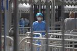 En sundhedsmedarbejder iklædt værnemidler venter ved et  COVID-19-testcenter i Beijing. Mens verden lige nu kæmper med coronavirus, er der fundet et nyt virus i landet.    Foto: Greg Baker/Ritzau Scanpix