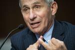   »Jeg er meget bekymret, for det kan blive meget slemt«, siger den amerikanske regerings øverste sundhedsrådgiver, Anthony Fauci Foto: Pool/Ritzau Scanpix