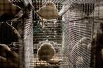 Foto: Asger Ladefoged/Ritzau Scanpix