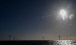 Havvindmøller er langt dyrere end at sætte vindmøller og solceller op på land.   Foto: Ernst van Norde
