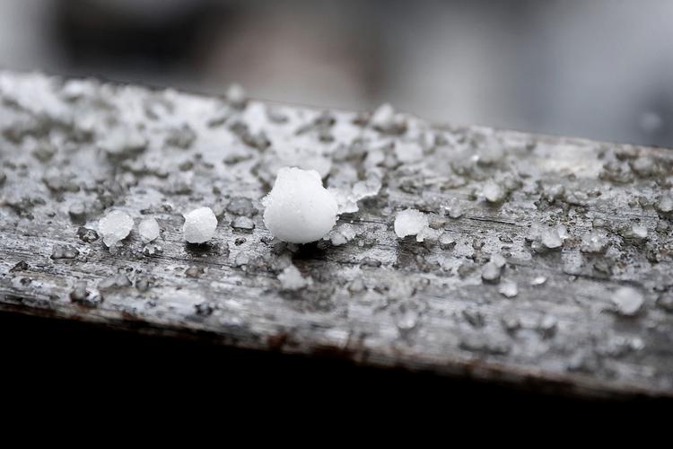 »De første dage i ugen blive regnfulde og blæsende, og der kommer byger med hagl og torden«, lyder dagens dårlige nyhed fra DMI. Foto: Jens Dresling/POLFOTO