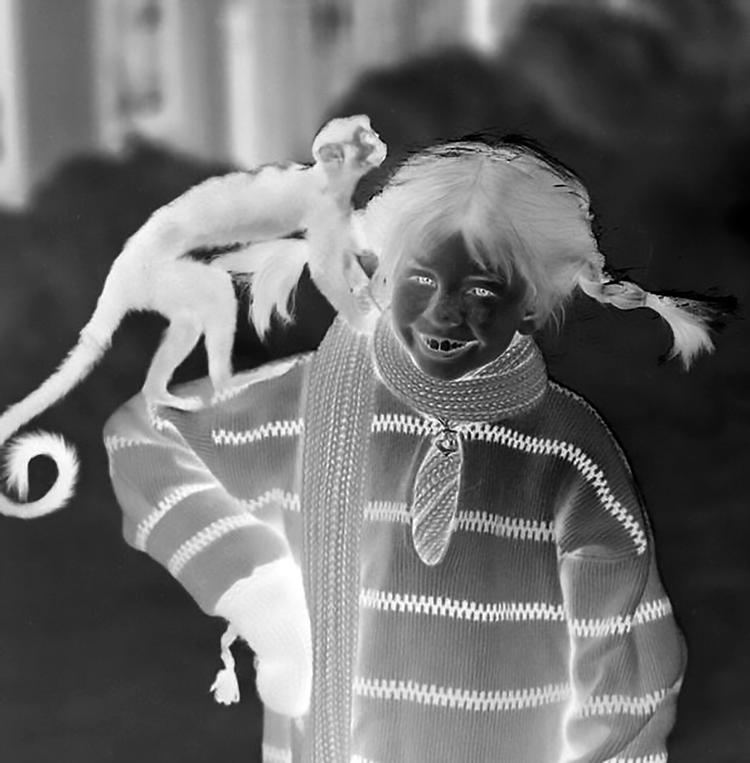 Er Henrik Plenge Jakobsens fotografiske værk 'Angry Pippi' (2019) en kommentar om ungdommens opgør med deres forældres lidet proaktive indsats mod klimaforandringer? Eller kunst som meme? Svaret blæser i vinden på årets udstilling med kunstnersammenslutningen Den Frie. Foto: Henrik Plenge Jakobsen