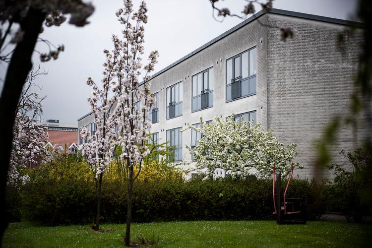 Den forbudte dokumentar skildrer kritisable forhold på plejehjemmet Kongsgården i Viby. Foto: Mads Frost/Ritzau Scanpix