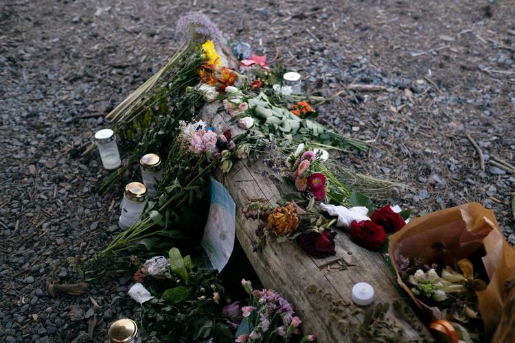 Ved en shelterplads i Nordskoven på Bornholm omkom en 28-årig mand efter brutal vold. Gerningsmændene var to brødre, der var venner med ofret.  Foto: Mikkel Hørlyck/POLFOTO