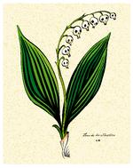 Tegning Claus Nørregaard