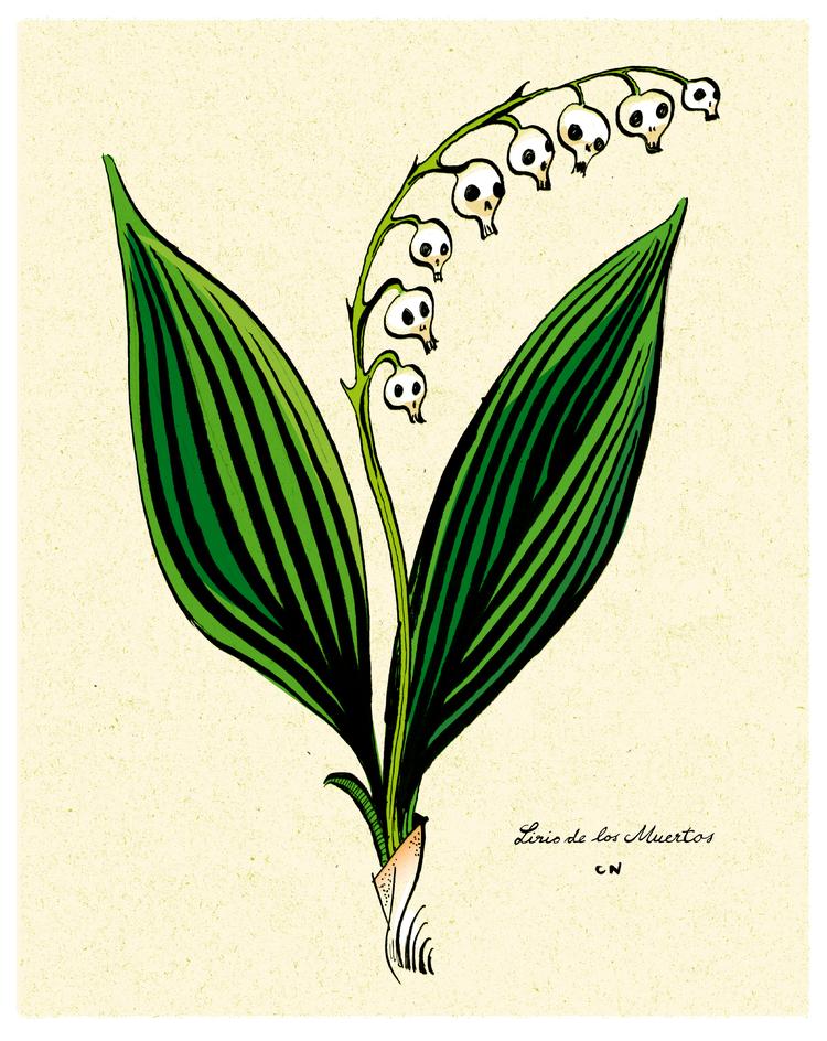 Tegning Claus Nørregaard