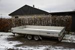 Sådan en her. Stor eller lille. Den er ikke altid helt så uskyldig, som den måske ser ud. (arkivfoto) Foto: Jacob Ehrbahn/POLFOTO