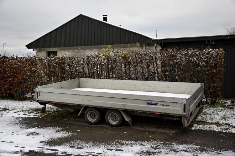 Sådan en her. Stor eller lille. Den er ikke altid helt så uskyldig, som den måske ser ud. (arkivfoto) Foto: Jacob Ehrbahn/POLFOTO