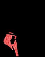 Foto: Hasan Jamali/AP