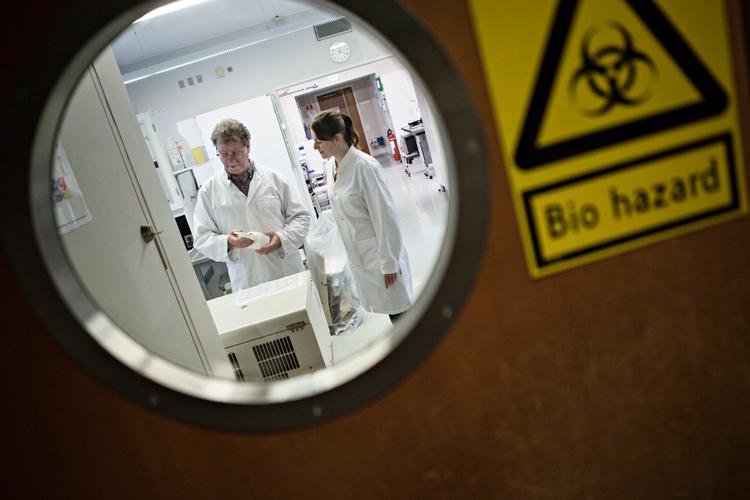 Statens Serum Institut er førende når det gælder om at indsamle og identificere dna-sekvenser af eksotiske virusinfektioner. (Arkivfoto) Foto: Tobias Nicolai/POLFOTO