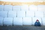»Jeg synes, det var interessant at lave en film om en midaldrende kvinde, som bekæmper andelsforeningen, fordi den repræsenterer en mandsdomineret magtstruktur. Det er en meget konservativ organisation«, fortæller instruktøren Grímur Hákonarson. Kampen føres af enken Inga, der spilles troværdigt af Arndis Hrönn Egilsdottir. Still Scanbox