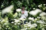   Både havens blomster og de vilde har plads hos Søren Ryge, også i vaserne indendøre. Foto: Lars Just/POLFOTO