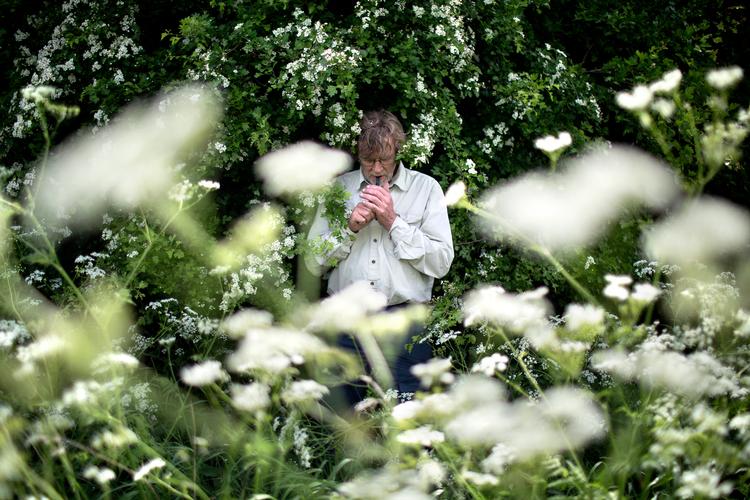   Både havens blomster og de vilde har plads hos Søren Ryge, også i vaserne indendøre. Foto: Lars Just/POLFOTO