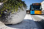 Blomsterkummen er ikke sneet til i en strid piteraq, men er blot sølet ind i boremudder fra forbikørende metrolastbiler, der taber slam på turene gennem Indre By.  Foto: Jens Hartmann Schmidt/POLFOTO