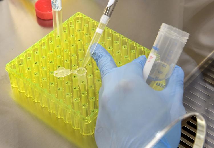 Foto: Christof Stache/Ritzau Scanpix