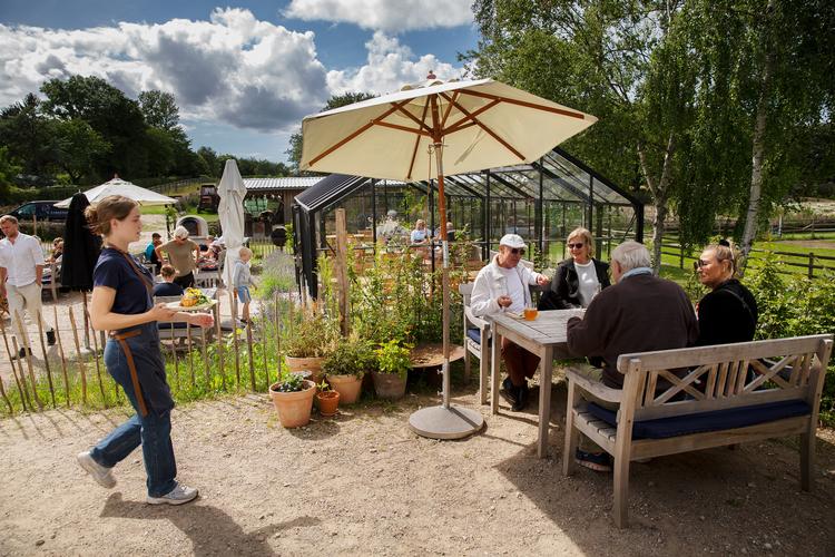 Foto: Thomas Borberg/POLFOTO