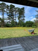 Foto: Ida Marie Boisen 