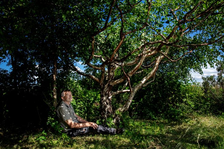 Det unge birketræ, som Jørgen Stoltz hviler sig op ad, har fået lov til at skyde naturlig i vejret, mens den ældre birk er beskåret en gang om året og har udviklet en lav og kroget vækst.   Foto: Jacob Ehrbahn/POLFOTO
