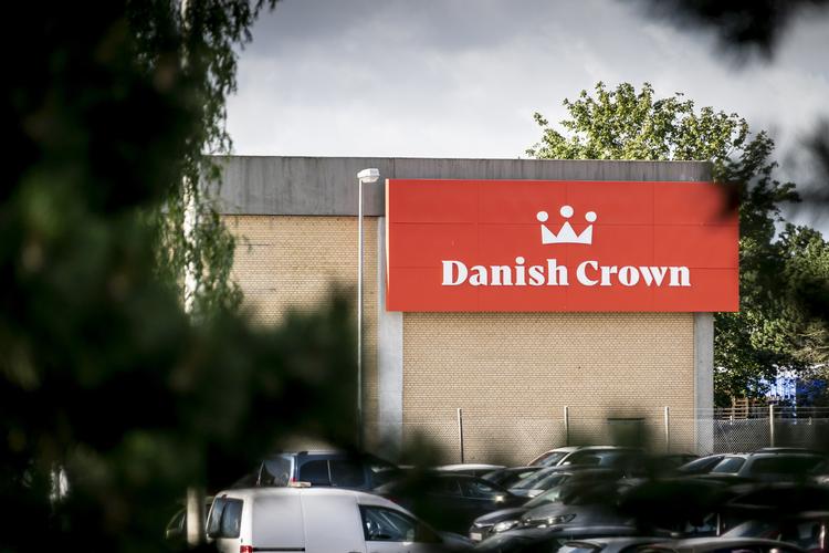 Danish Crowns slagteri i Ringsted har 16 smittede medarbejdere med coronavirus. Foto: Mads Claus Rasmussen/Ritzau Scanpix