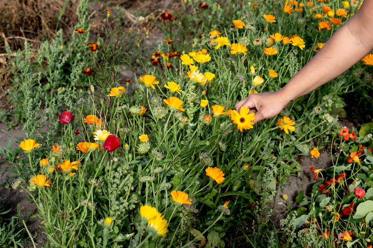 Foto: Nanna Navntoft