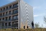 Gellerupparken i Aarhus Kommune er et af de steder i landet, hvor der er en tæt koncentration af indvandrere, og hvor mange personer bor i samme lejlighed.  Foto: Stine Rasmussen