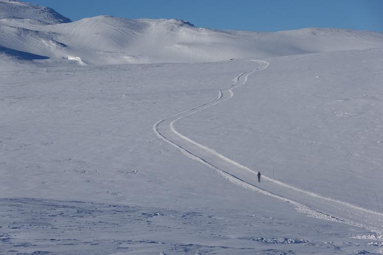 På turen op til Låktatjåkka Fjällstation krydser vi trægrænsen. Stilheden er overvældende, og fjeldet synes uendeligt. Det eneste tegn på menneskelig civilisation er sporene efter det bæltekøretøj, der en gang om dagen transporterer turister frem og tilbage mellem Hotell Fjället i Björkliden og fjeldstationen.   
