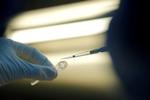 Præsidenten håber, at Rusland snart kan begynde masseproduktion af vaccinen, der er godkendt af myndigheder. Foto: Anton Vaganov/Ritzau Scanpix