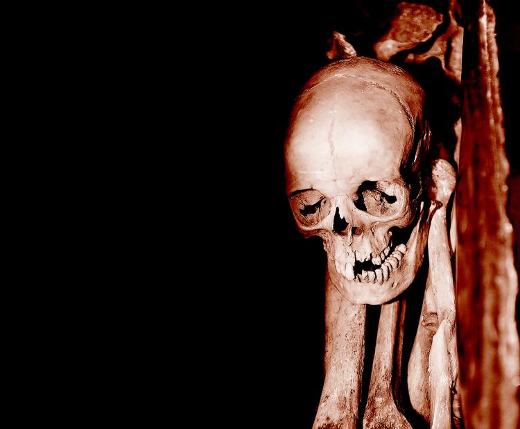 Foto: Pelle Rink/Politiken