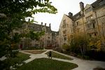 Det amerikanske justitsministerium vil have Yale Universitetet til at overholde borgerrettighedslovene og holde op med at diskriminere asiatisk-amerikanske og hvide ansøgere. Foto: Don Emmert/Ritzau Scanpix
