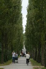 Foto: Jesper Stormly Hansen/POLFOTO